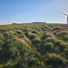Alun George - Cambrian Way (United Kingdom)