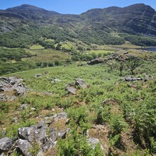 Alun George - Cambrian Way (United Kingdom)