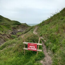 Tom Forster - Shepherds Trail