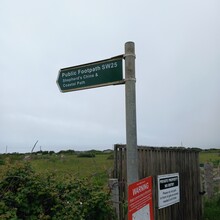 Tom Forster - Shepherds Trail