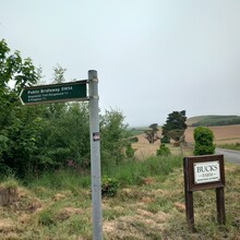 Tom Forster - Shepherds Trail