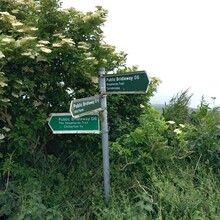 Tom Forster - Shepherds Trail