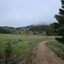 Matthew Clay - Emerald Mountain