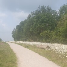 Kim Graham - Wimpole Way (United Kingdom)