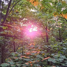 Jean-Pierre Lacasse, Mike Gaudreault - IPA FunRun back and forth