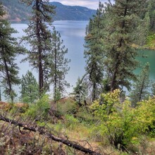 Kris Rickert - ID Orofino Big Eddy to Freeman Creek Campground in Dworshack State Park (Out and Back)