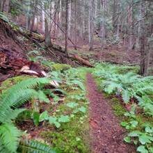 Kris Rickert - ID Orofino Big Eddy to Freeman Creek Campground in Dworshack State Park (Out and Back)