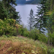 Kris Rickert - ID Orofino Big Eddy to Freeman Creek Campground in Dworshack State Park (Out and Back)