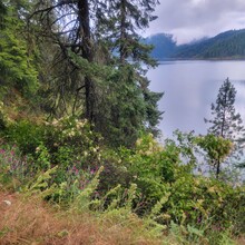 Kris Rickert - ID Orofino Big Eddy to Freeman Creek Campground in Dworshack State Park (Out and Back)