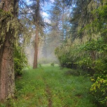 Kris Rickert - ID Orofino Big Eddy to Freeman Creek Campground in Dworshack State Park (Out and Back)