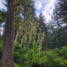 Kris Rickert - ID Orofino Big Eddy to Freeman Creek Campground in Dworshack State Park (Out and Back)