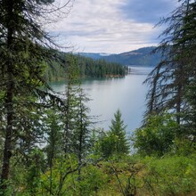 Kris Rickert - ID Orofino Big Eddy to Freeman Creek Campground in Dworshack State Park (Out and Back)