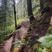 Kris Rickert - ID Orofino Big Eddy to Freeman Creek Campground in Dworshack State Park (Out and Back)