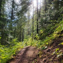 Kris Rickert - ID Orofino Big Eddy to Freeman Creek Campground in Dworshack State Park (Out and Back)