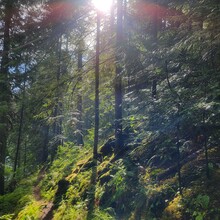 Kris Rickert - ID Orofino Big Eddy to Freeman Creek Campground in Dworshack State Park (Out and Back)