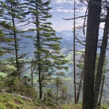 Christina Kirk - The Pendling Express