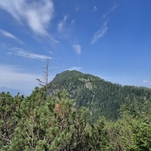 Christina Kirk - The Pendling Express