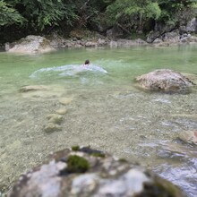 Christina Kirk - The Pendling Express