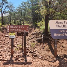 Matthew Griffith - Heart Attack Loop (NM)