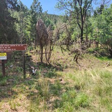 Matthew Griffith - Heart Attack Loop (NM)