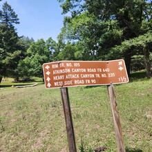 Matthew Griffith - Heart Attack Loop (NM)