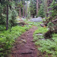 Troy Haeseler, David Sadowski - Windy Pass to Cathedral 50 - no summits