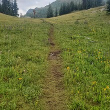 Troy Haeseler, David Sadowski - Windy Pass to Cathedral 50 - no summits