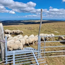 Pierre-Antoine Peyron - Project 100.195- (Montbrison-Pierre Sur Haute-Montbrison) (France)