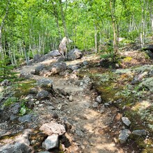 Philip Bernier, Mirella Brouillard - 3 Sommets du Parc National des Grands-Jardins (QC, Canada)