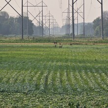 Alec Weitermann - Newton Blackmour State Trail (WI)