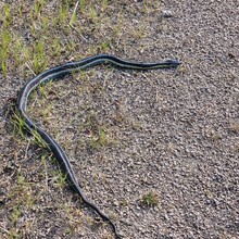 Alec Weitermann - Newton Blackmour State Trail (WI)