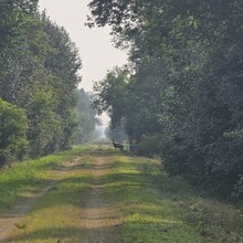 Alec Weitermann - Newton Blackmour State Trail (WI)