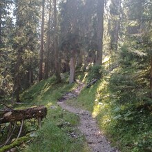 Annabelle Bindmann - Garmisch-Partenkirchen - Brescia (Germany, Austria, Italy)