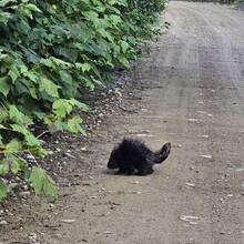 Joëlle Paradis - La Traversée de Charlevoix (QC, Canada)