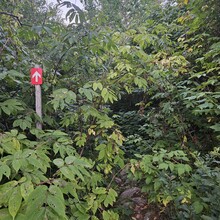 Joëlle Paradis - La Traversée de Charlevoix (QC, Canada)