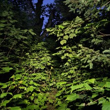 Joëlle Paradis - La Traversée de Charlevoix (QC, Canada)