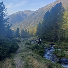 Annabelle Bindmann - Garmisch-Partenkirchen - Brescia (Germany, Austria, Italy)