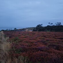 Yann Le Pihiff - Tour du Cap Sizun (France)