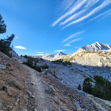 Ford Nickels - Evolution Loop (CA)