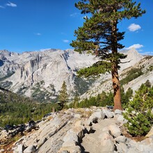 Ford Nickels - Evolution Loop (CA)