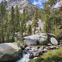 Ford Nickels - Evolution Loop (CA)