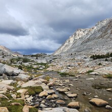 Ford Nickels - Evolution Loop (CA)