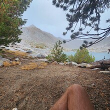 Ford Nickels - Evolution Loop (CA)