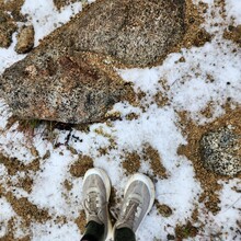 Ford Nickels - Evolution Loop (CA)