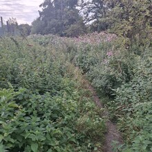 Jase Kuusisto - Gipping Valley River Path (United Kingdom)