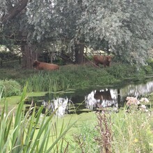 Jase Kuusisto - Gipping Valley River Path (United Kingdom)
