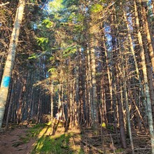 Philip Bernier, Mirella Brouillard - Boucle du Mont SugarLoaf (QC, Canada)