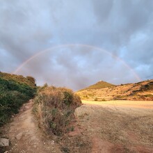 Laura Whyms - Camino de Santiago - Camino Francés (Spain)
