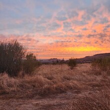 Laura Whyms - Camino de Santiago - Camino Francés (Spain)