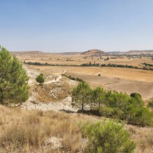Laura Whyms - Camino de Santiago - Camino Francés (Spain)
